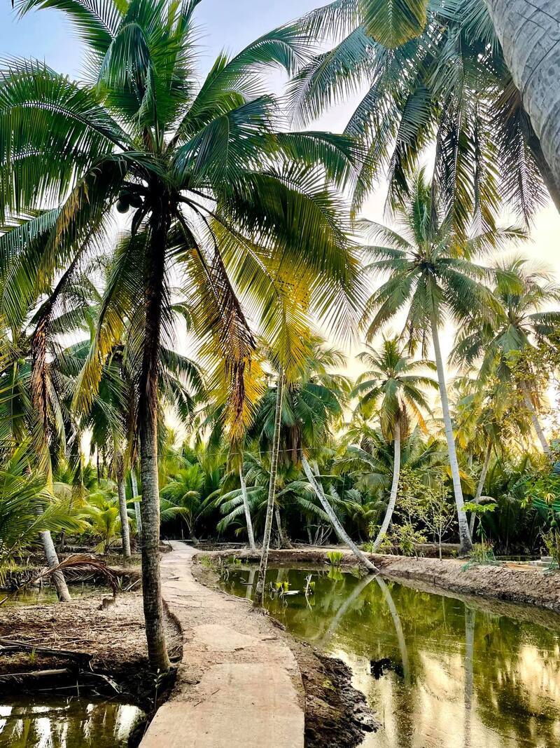 Bến Tre – Quê hương ba đảo dừa xanh 