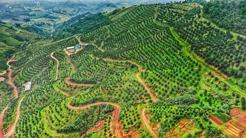 Mai Chau Hideaway Lake Resort Hòa Bình - cam cao phong