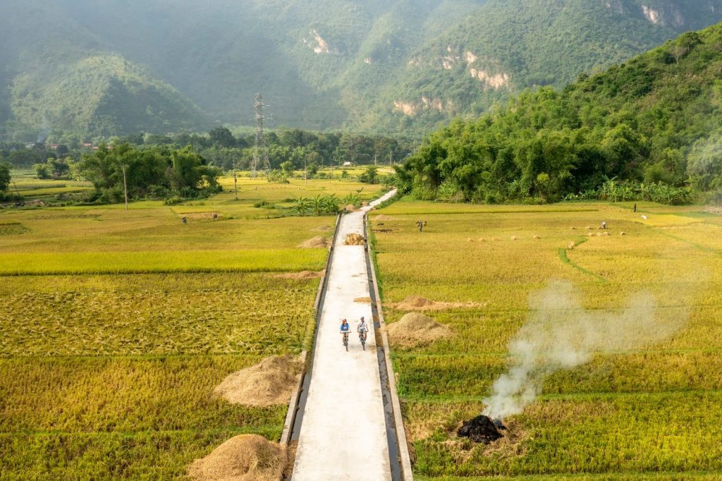 Mai Chau Hideaway Lake Resort Hòa Bình - mùa lúa vàng