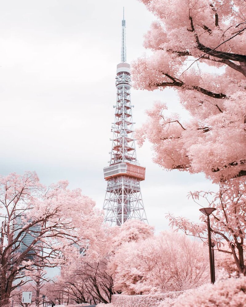 Khám phá tháp Tokyo của xứ sở hoa anh đào Nhật Bản