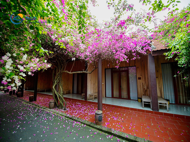 Ảnh chụp villa Thảo Viên Resort Sơn Tây: Khu nghỉ dưỡng lãng mạn gần Hà Nội số 2