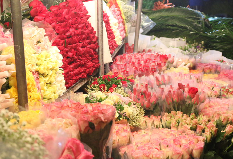 Chợ hoa Quảng An - Khu chợ của những loài hoa giữa lòng thủ đô