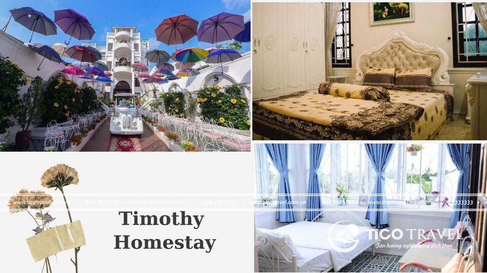 Timothy homestay