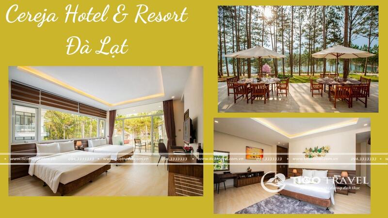 Cereja Hotel & Resort Dalat