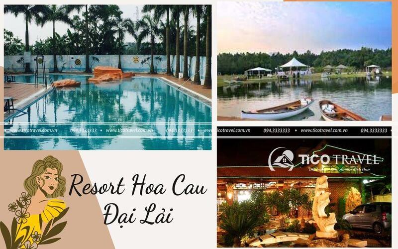 Top 5 resort Đại Lải đẹp nhất đẳng cấp 3-4-5 sao đáng để nghỉ dưỡng