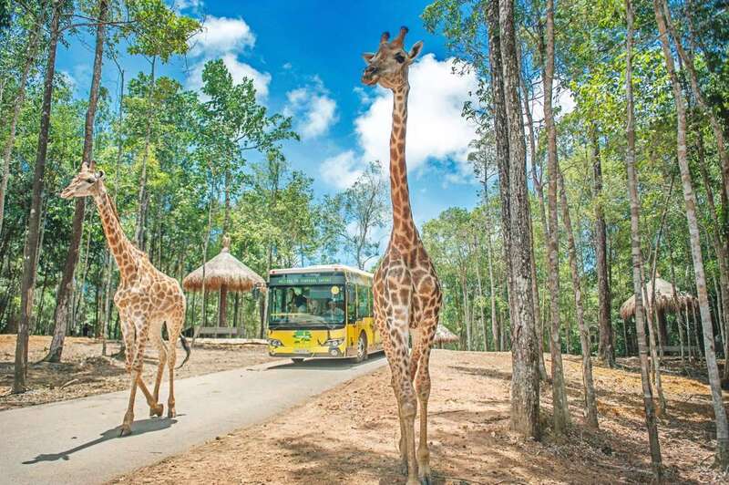 Kinh nghiệm du lịch Safari Phú Quốc - Thế giới động vật Safari Phú Quốc muôn màu