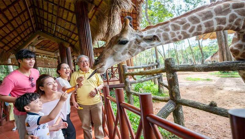 Kinh nghiệm du lịch Safari Phú Quốc - Thế giới động vật Safari Phú Quốc muôn màu