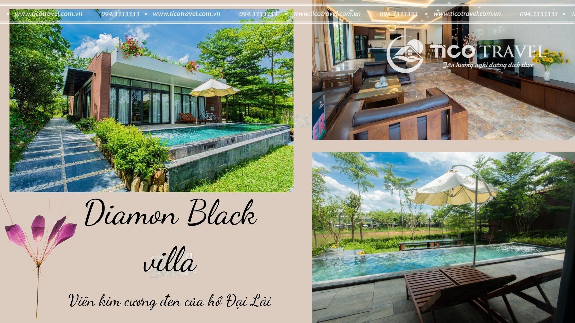 Villa Dinamon Black Flamingo Đại Lải 