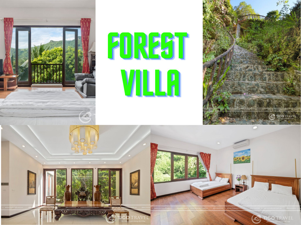 Villa Hòa Bình Tico 19 - Forest Villa