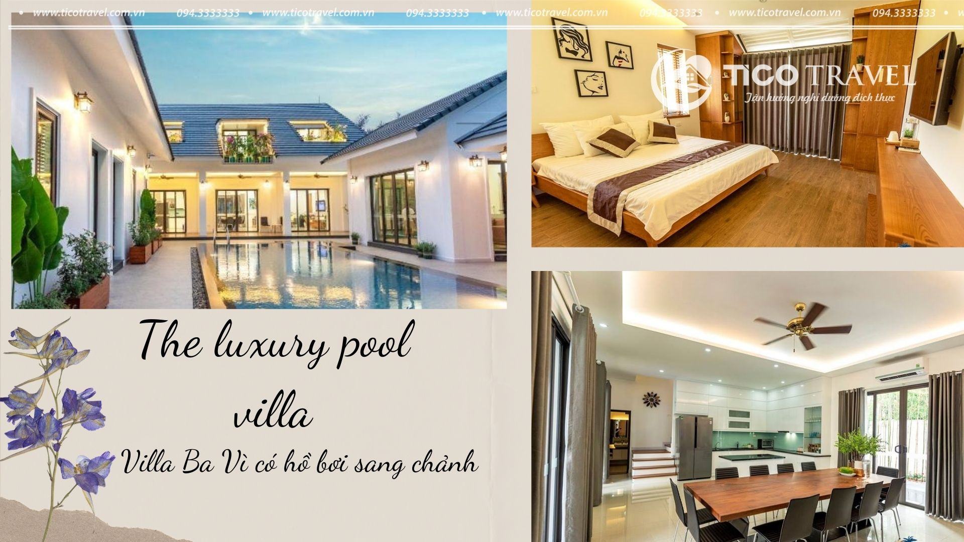 The pool luxury villa