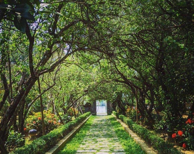 Nhà vườn An Hiên - Vẻ đẹp cổ kính của xứ Huế mộng mơ