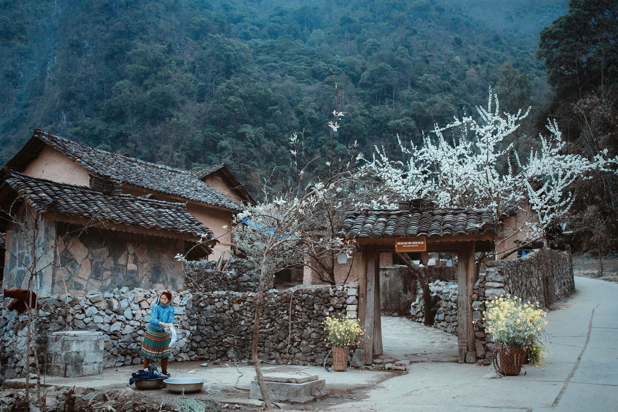 Resort Hà Giang-Tìm về mảnh đất thiên nhiên thơ mộng hút hồn 