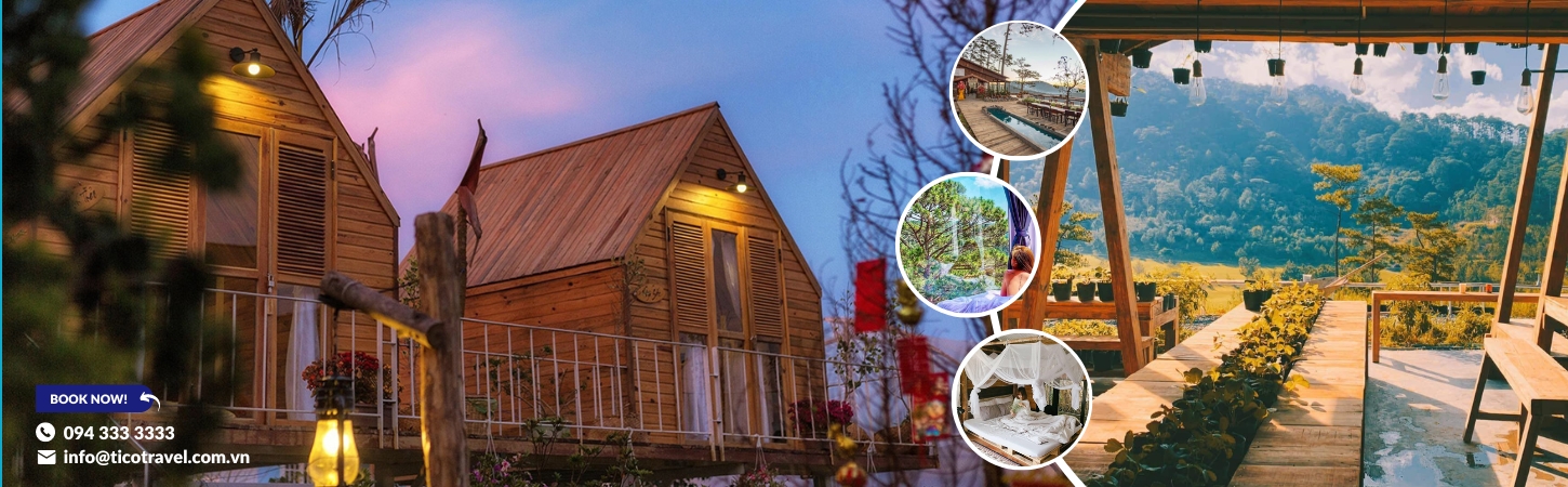 Top 40 homestay Đà Lạt giá rẻ view đẹp sống ảo cực chill gần trung tâm - Ảnh đại diện