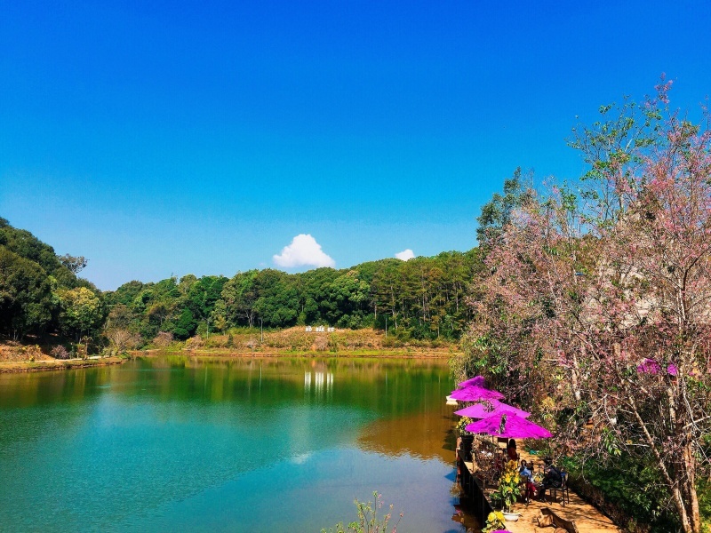 Hồ Dambri ở Măng Đen - Vẻ đẹp thơ mộng rung động lòng người