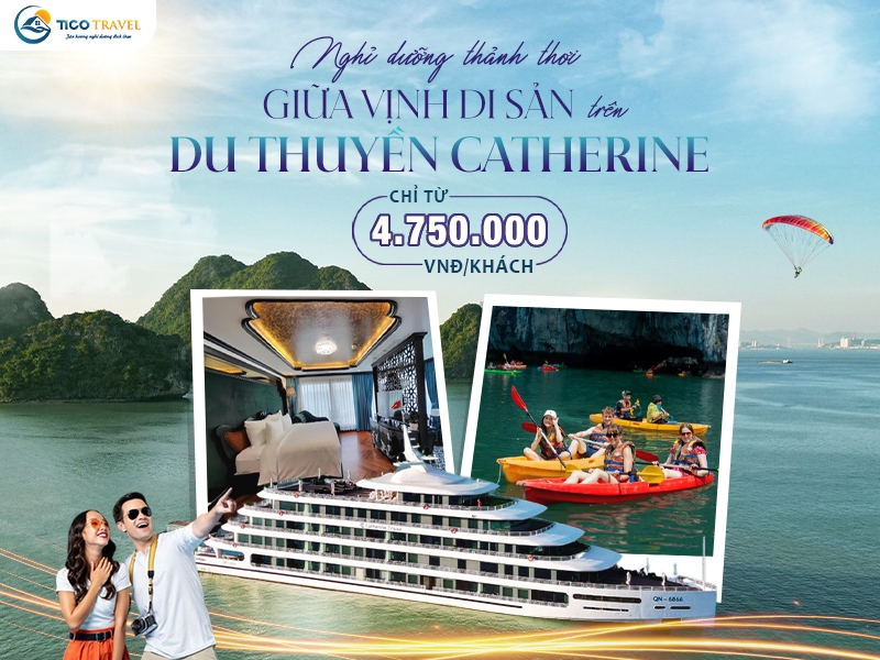 Ảnh đại diện Catherine Cruise