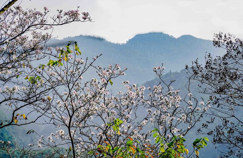 Hồ Pa Khoang - Khám phá vẻ đẹp thiên nhiên vùng Điện Biên