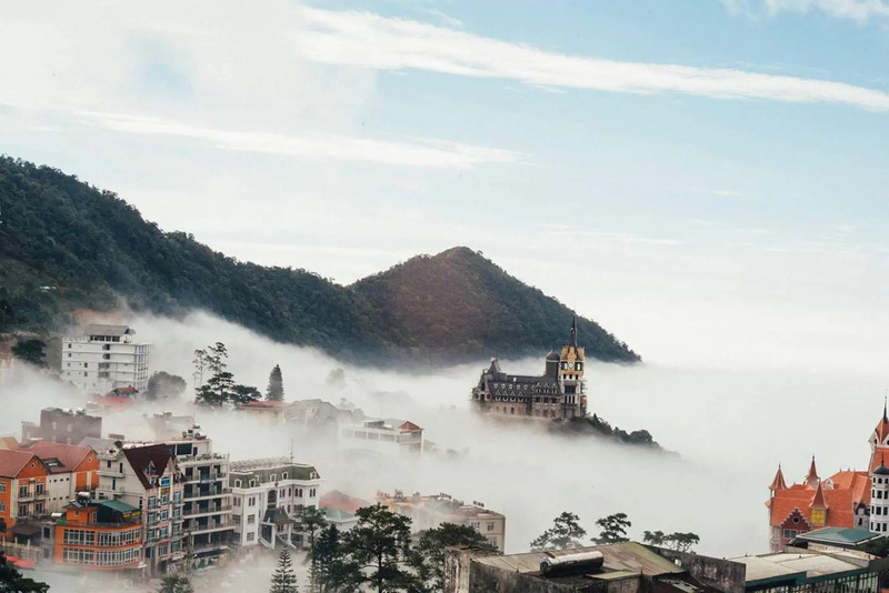 Tam Đảo tháng 6 - Thị trấn sương mù huyền ảo nơi tiên cảnh