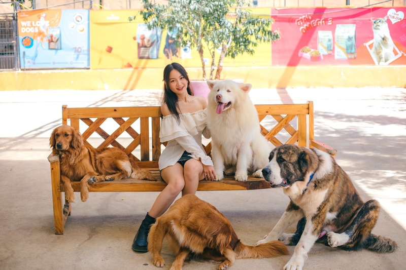 Nông trại cún Puppy Farm - Thiên đường thú cưng của Đà Lạt