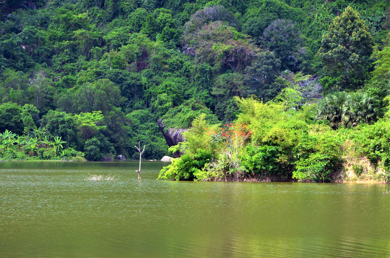 Hồ Ô Thum – Khám phá nét thơ mộng “tuyệt tình cốc” của An Giang