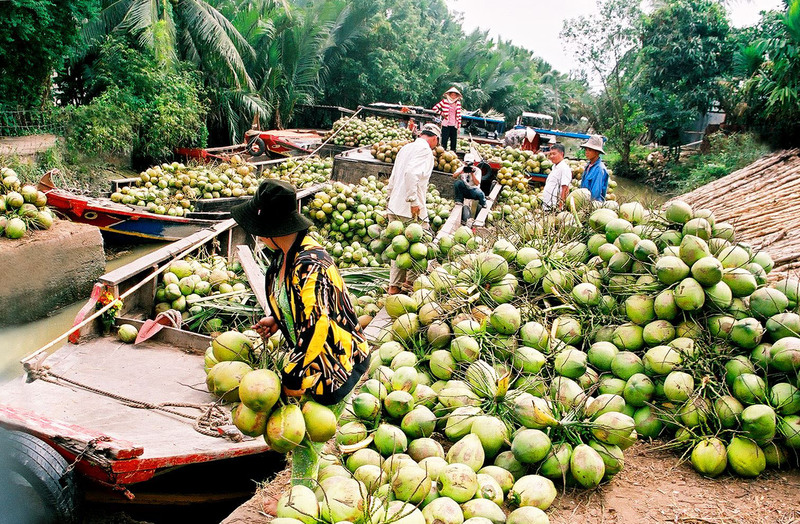 Thời tiết Bến Tre - Đi du lịch Bến Tre mùa nào là đẹp nhất?