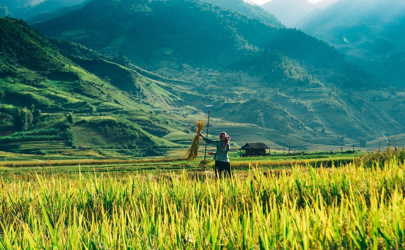 Thời Tiết Lai Châu Có Gì Nổi Bật? Lai Châu Mùa Nào Đẹp?