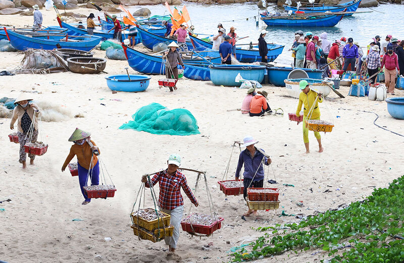 Bãi biển Long Thuỷ - Chiêm ngưỡng bức tranh thanh bình tại Phú Yên