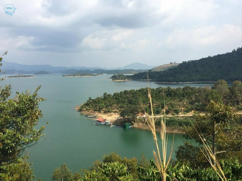 Hồ Hàm Thuận – Khám phá ốc đảo xanh ngập tràn sức sống - Ảnh đại diện