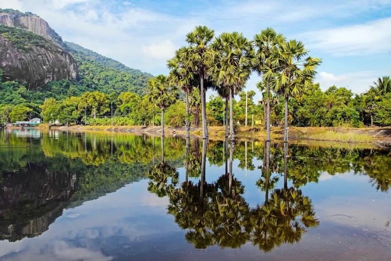 Hồ Soài So – Một trong những kỳ quan đẹp nhất An Giang