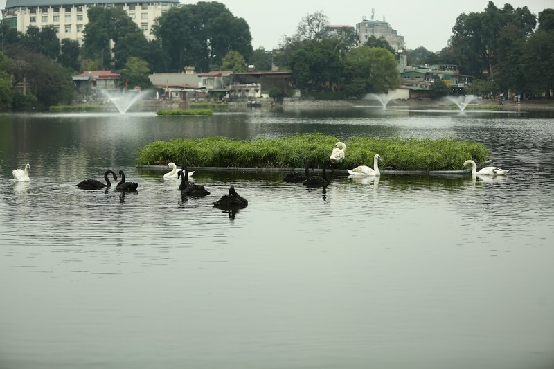 Hồ Thiền Quang - Góc nhỏ bình yên giữa lòng thủ đô