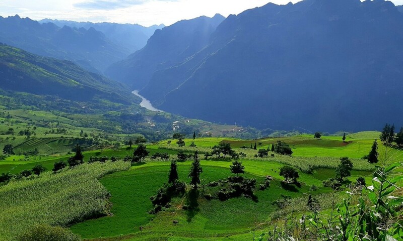 Thảo Nguyên Suối Thầu - Một Thụy Sĩ Thu Nhỏ Giữa Lòng Cao Nguyên Đá