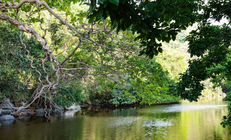 Bãi Suối Nóng - viên ngọc ẩn giữa lòng thiên nhiên hoang sơ