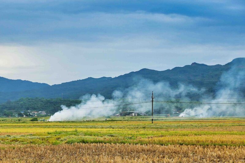 Cánh đồng Mường Lò - bức tranh tươi đẹp nơi nẻo cao Tây Bắc