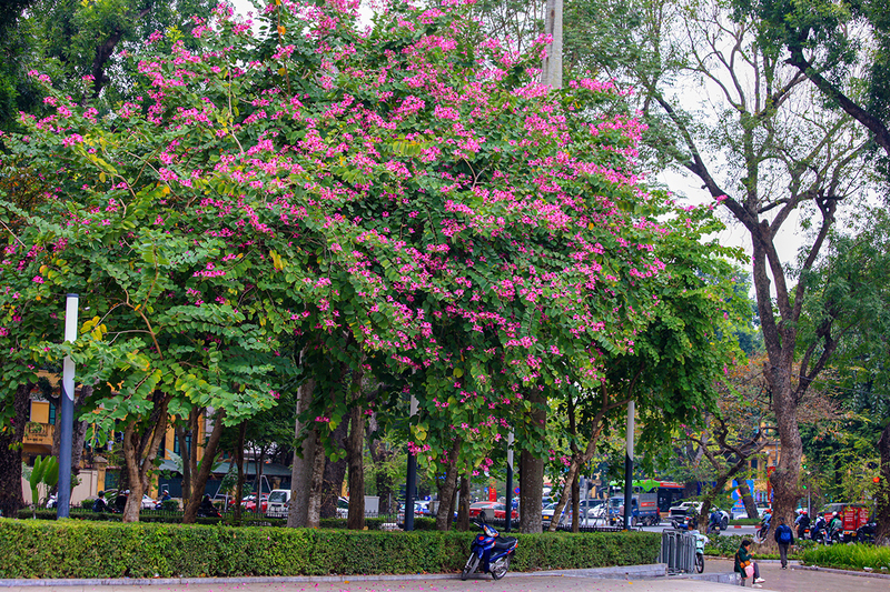 Công viên Lê Nin, vạt áo hoa rực rỡ của thủ đô