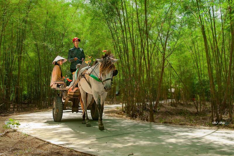 Hồ Ô Tà Sóc An Giang - Địa điểm du lịch đẹp, kỳ vĩ ở An Giang