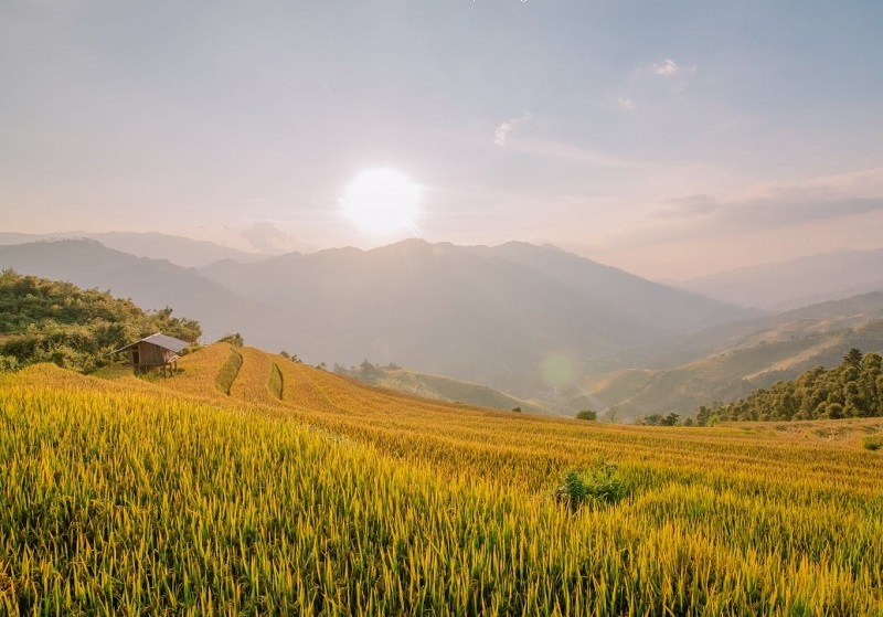 mong ngua mu cang chai 9