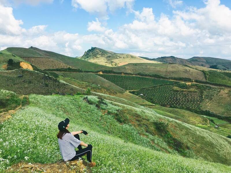 Cao nguyên Mộc Châu - tiếng gọi từ những giấc mơ xanh