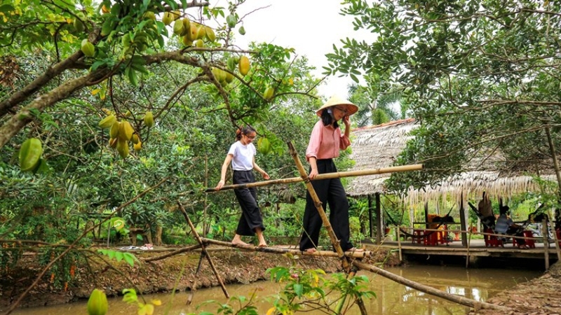 Cồn Mỹ Phước - Khám Phá hòn đảo xanh xinh đẹp của Hậu giang