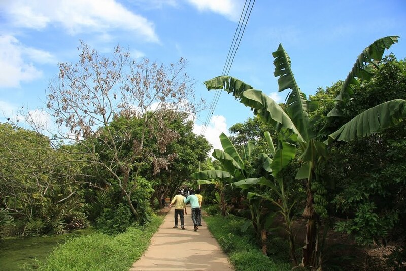 Cồn Mỹ Phước - Khám Phá hòn đảo xanh xinh đẹp của Hậu giang