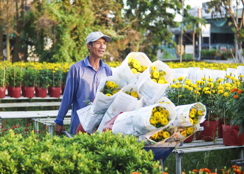 Công viên Sa Đéc, điểm đến hấp dẫn của Đồng Tháp