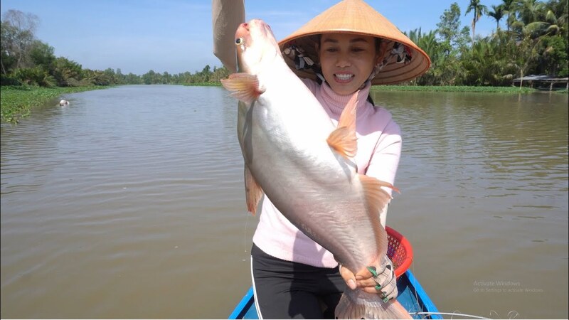 Khám phá Cù lao Tân Quy: Hòn đảo xanh giữa lòng sông Hậu