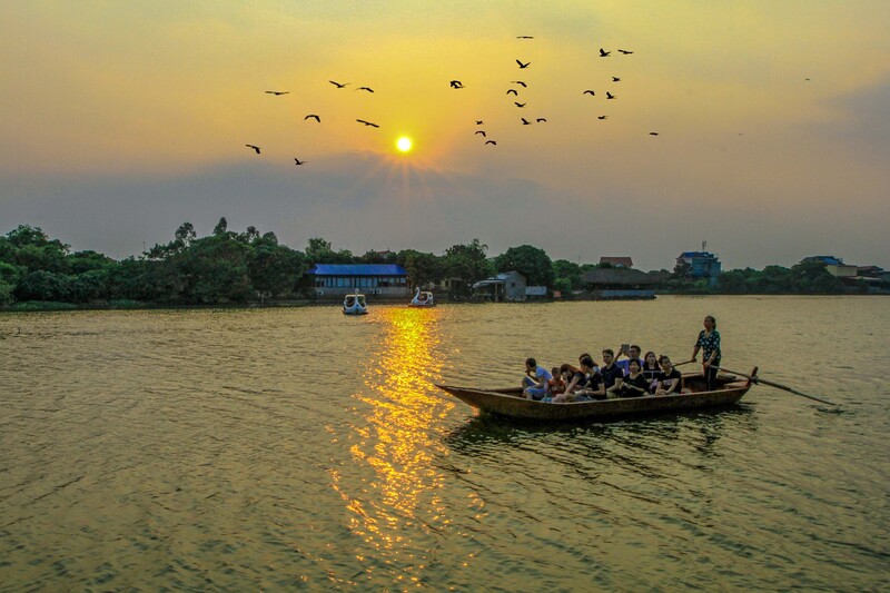 Đảo Cò Chi Lăng: Thiên đường chim muông giữa lòng Hải Dương