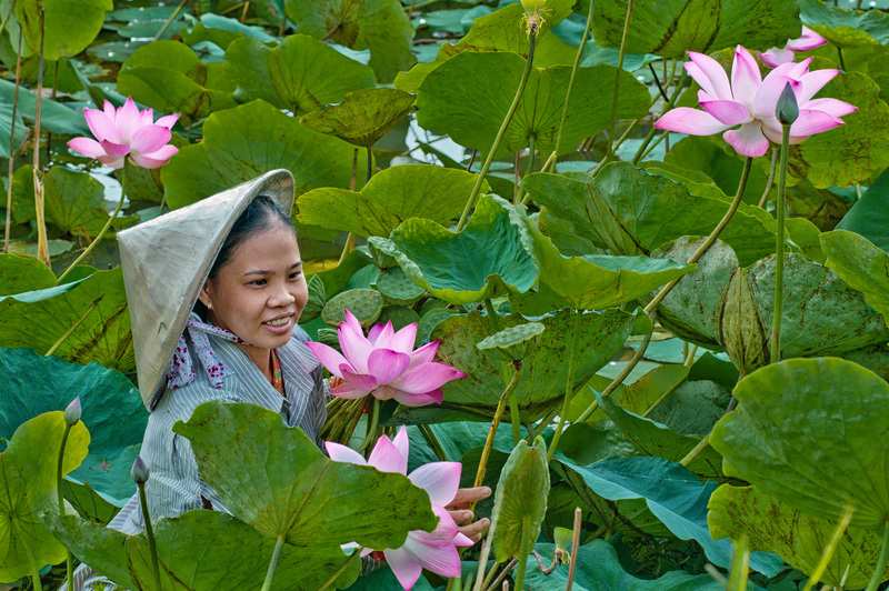 Đồng Tháp Mười - Khám phá xứ sở hoa sen thanh bình