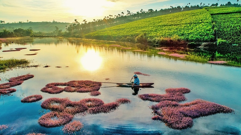 Hồ Tảo Hồng - Khám phá vẻ đẹp độc đáo và ngất ngây lòng người 