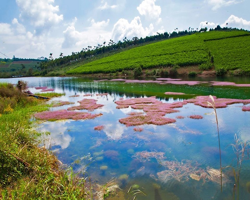 Hồ Tảo Hồng – Khám phá vẻ đẹp độc đáo và ngất ngây lòng người - Ảnh đại diện