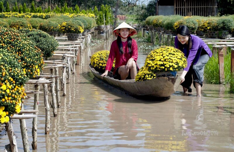 Khu du lịch cánh đồng hoa hồng Sa Đéc, điểm đến mới ở miệt vườn