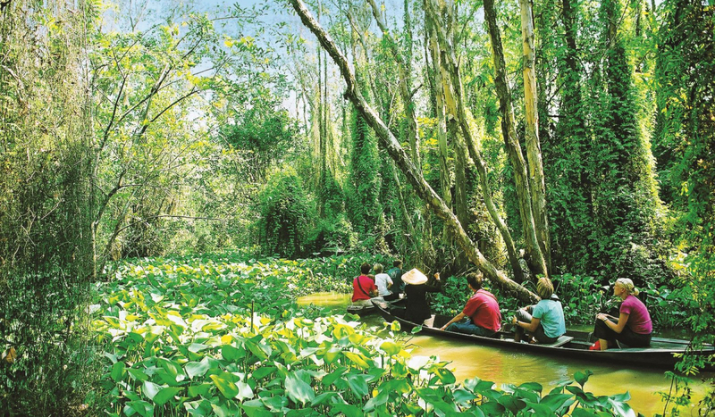 Khu du lịch sinh thái Gáo Giồng: Ngôi nhà chung của các loài chim