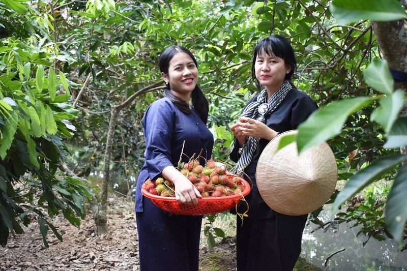 Khu du lịch Vinh Sang - Nét vẽ xanh giữa lòng thành phố