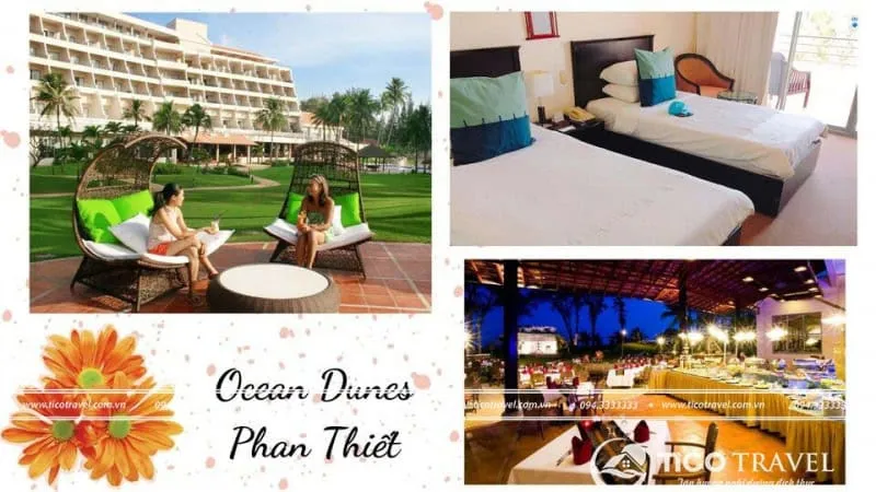 Top 20 resort Mũi Né giá rẻ gần biển có hồ bơi từ 3-4-5 sao