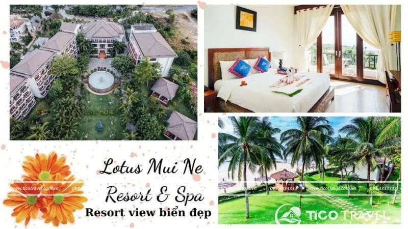 Top 20 resort Mũi Né giá rẻ gần biển có hồ bơi từ 3-4-5 sao