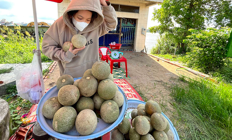 Trái quách Trà Vinh - Đặc sản miền Tây với hương vị khó quên